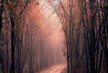 探索生活乐趣,200字作文中的小确幸