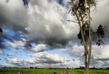 四年级生活之韵手抄报,创意与知识的完美融合