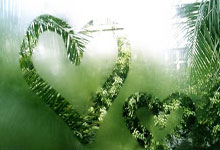 四年级生活之韵手抄报,创意与知识的完美融合