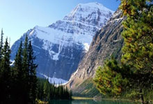 四年级生活之韵手抄报,创意与知识的完美融合