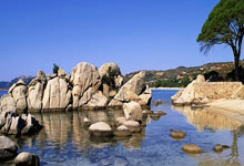 四年级生活之韵手抄报,创意与知识的完美融合