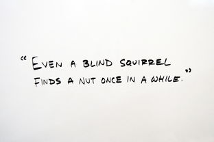 如何用英语表达生活经历,实用短语与表达方式 如何用英语表达生活经历,实用短语与表达方式