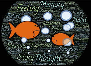 经历生活,如何用英文记录和分享你的故事 经历生活,如何用英文记录和分享你的故事