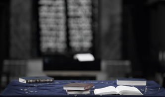 生活百科全书,掌握生活常识的终极指南 生活百科全书,掌握生活常识的终极指南