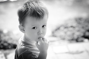 生活之美，从画画中发现日常的灵感