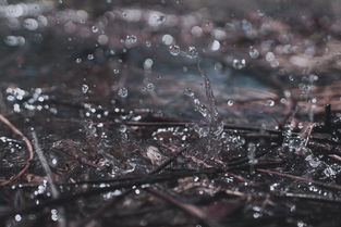 My Life Experiences:A Journey of Growth and Discovery My Life Experiences:A Journey of Growth and Discovery