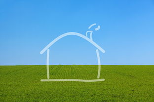 生活达人指南，如何高效规划你的一天