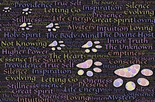 探索生活的旅程,我的英语作文生活经历 探索生活的旅程,我的英语作文生活经历