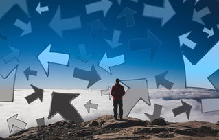 品味生活,在平凡中寻找非凡的味道 品味生活,在平凡中寻找非凡的味道