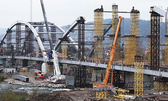 跨越语言的桥梁,我的生活经历故事 跨越语言的桥梁,我的生活经历故事