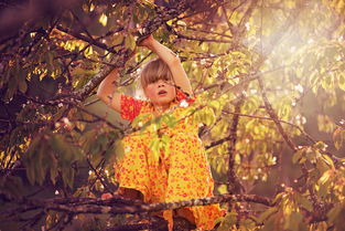 从平凡到非凡,我的生活经历如何塑造了我